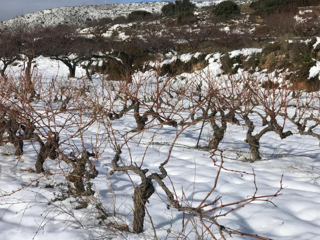 Kép La Bodega de Lola szállásáról Alcublas városában a galériában