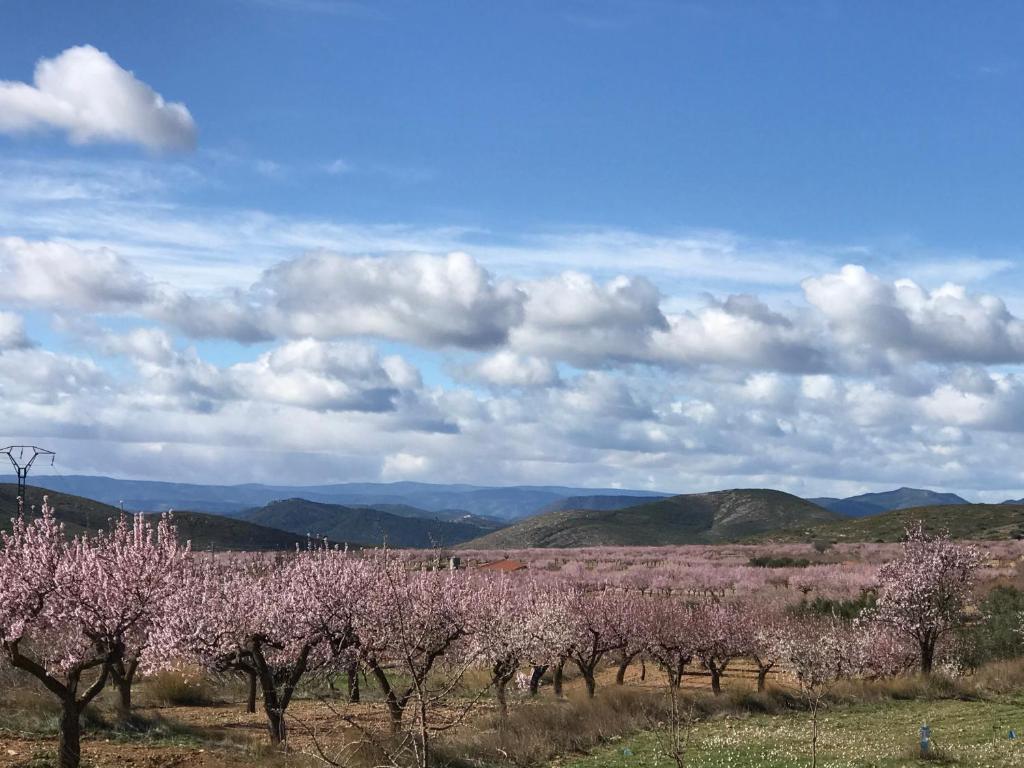 Kép La Bodega de Lola szállásáról Alcublas városában a galériában