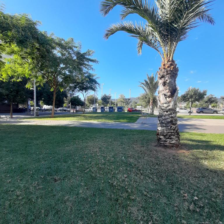Piso céntrico con piscina,parking y jacuzzi, Córdoba ...