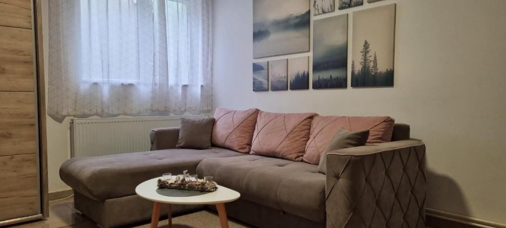 Posezení v ubytování Apartman Lola, Divcibare