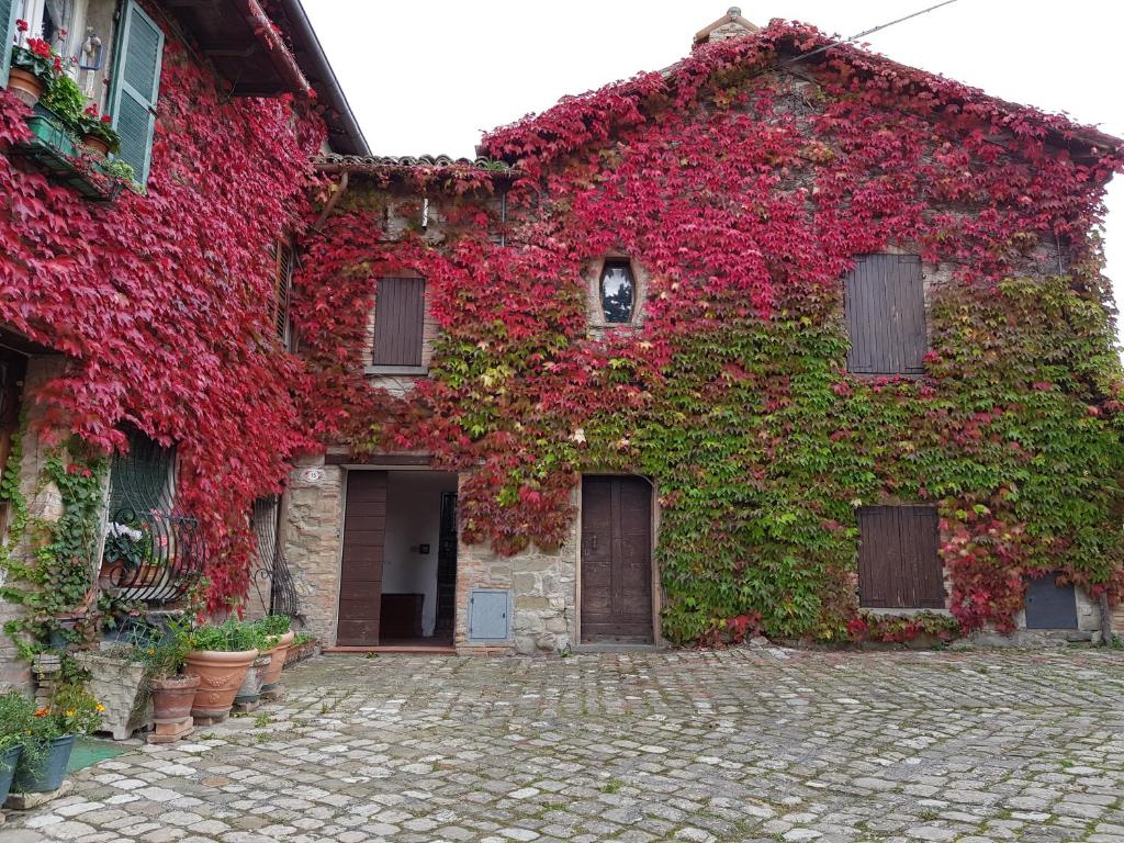 budynek pokryty czerwonym bluszczem w obiekcie B&B La Rocca w mieście SantʼAgata Feltria