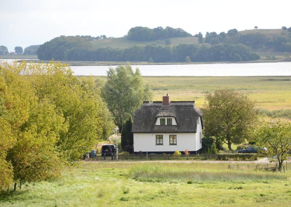 a white house with a black roof in a field at Altes Backhaus in Groß Zicker