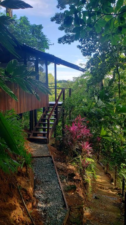Zahrada ubytování Finca la Bonita, Playa Carate