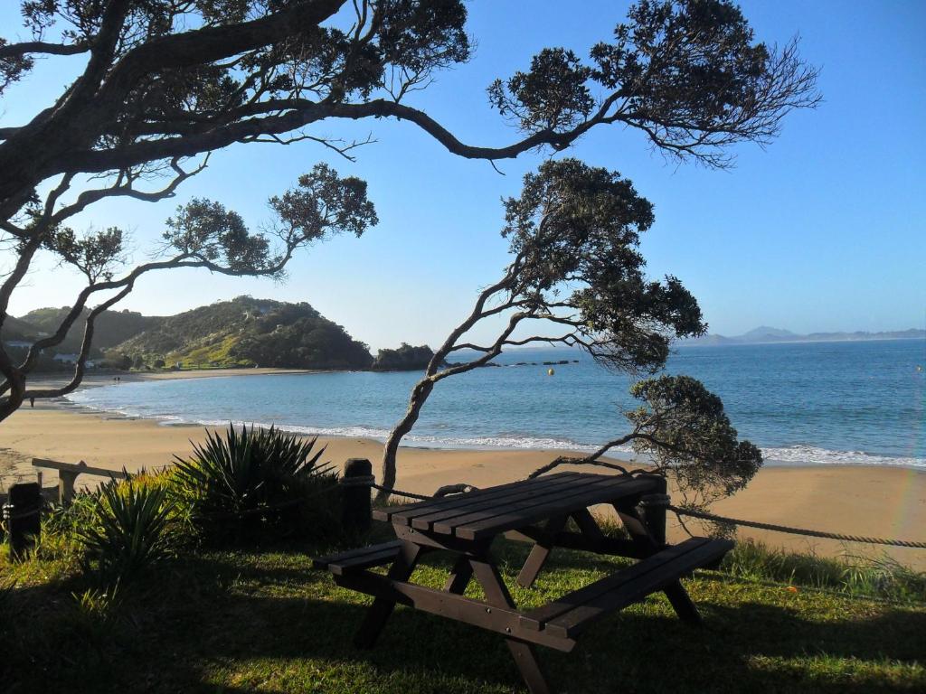 a wooden bench sitting on the grass near a beach at The Sands Motel in Tutukaka