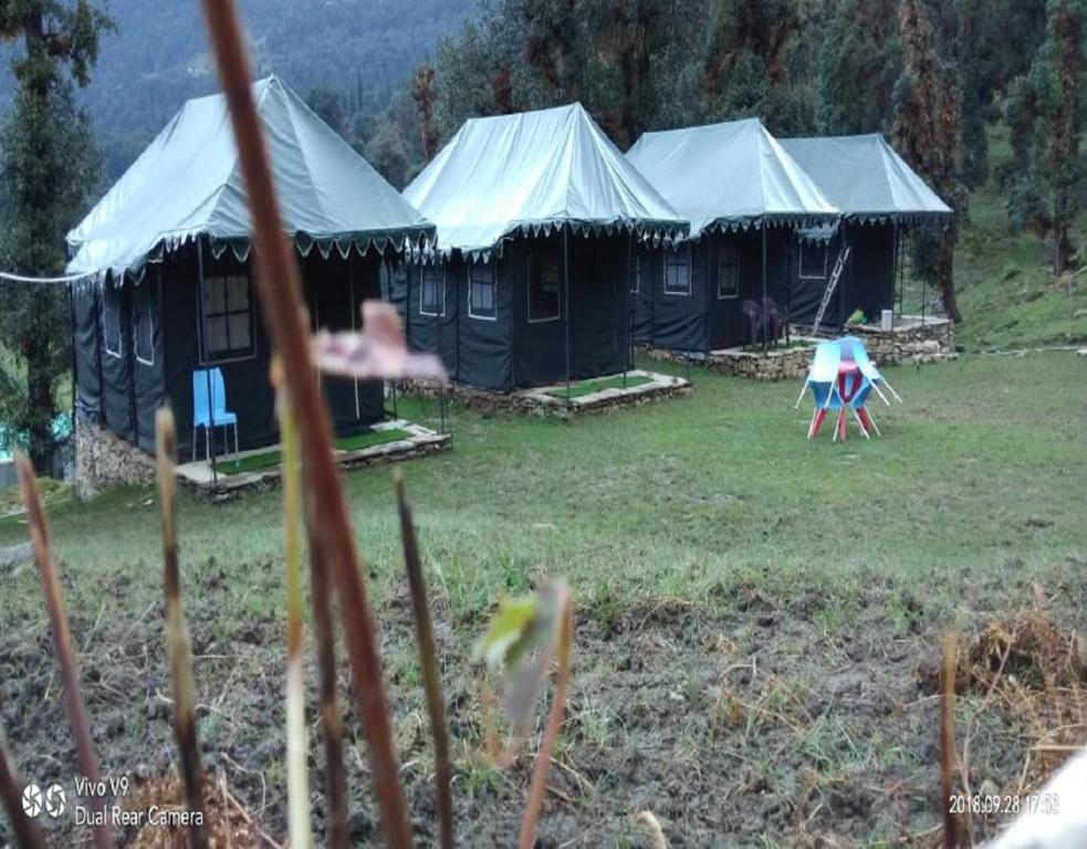 a group of tents in a field of grass at Camping at Snow Adventure Camps in Ukhimath