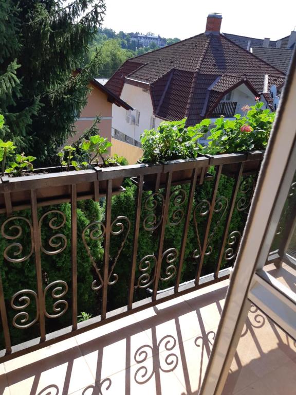 Balkón nebo terasa v ubytování Ágnes Apartman