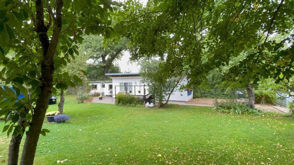 ein Haus mit einem Garten mit grünem Gras und Bäumen in der Unterkunft Bungalow im Erlengrund in Rostock