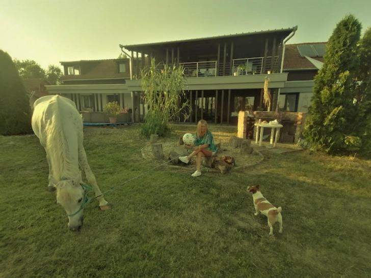 a woman sitting in the yard with two dogs and a horse at Silver Horse Ranch in Békés