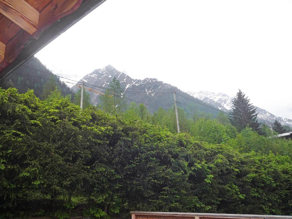 a hedge with a mountain in the background at Chalet Evasion by Interhome in Les Bossons