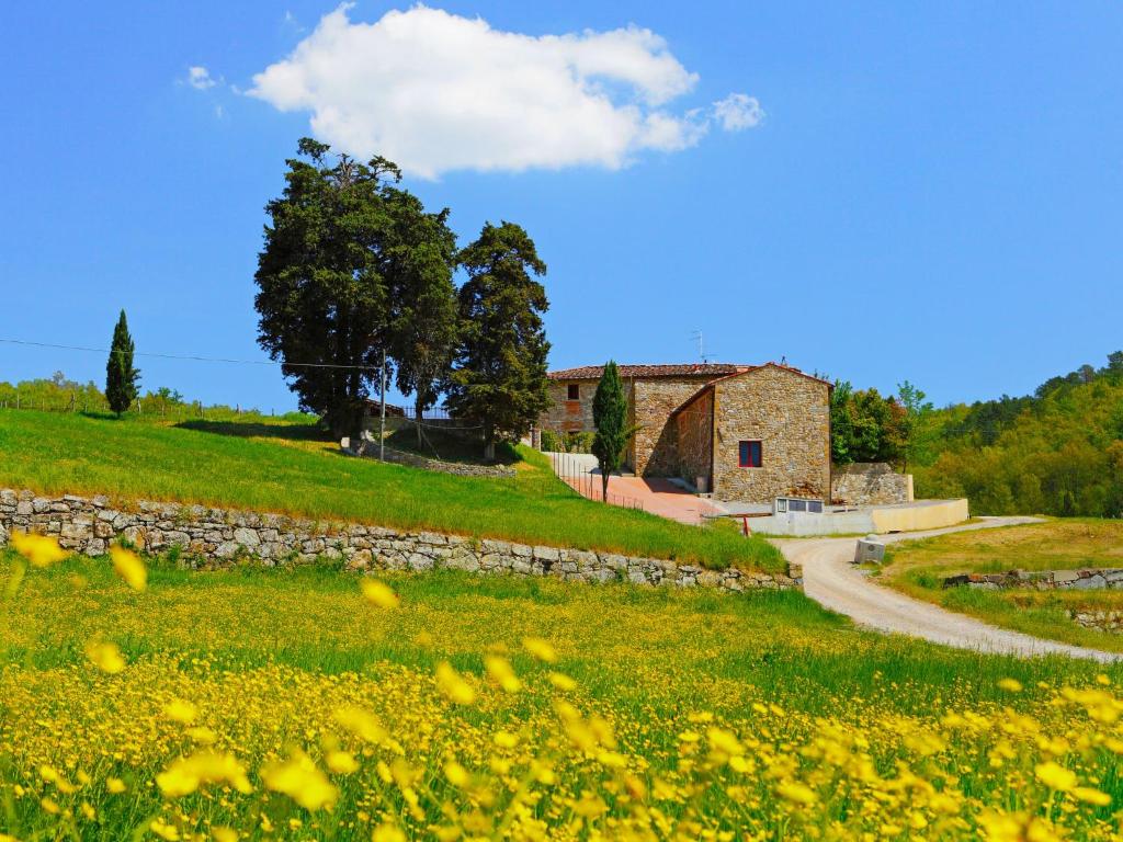 a field of yellow flowers in front of a building at Holiday Home Locazione Turistica Selvapiana by Interhome in Greve in Chianti