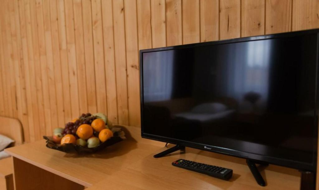 TV a/nebo společenská místnost v ubytování Шепіт Карпат