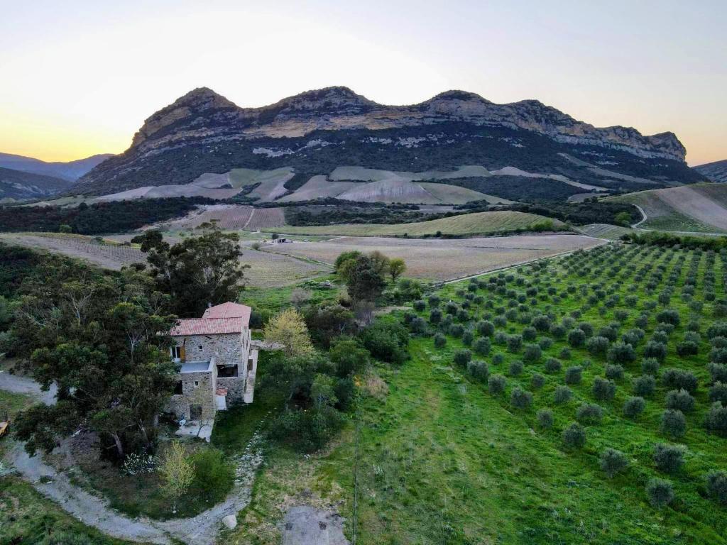 une vue aérienne d'une maison au milieu d'un champ dans l'établissement MULINU BIANCU, à Poggio-dʼOletta