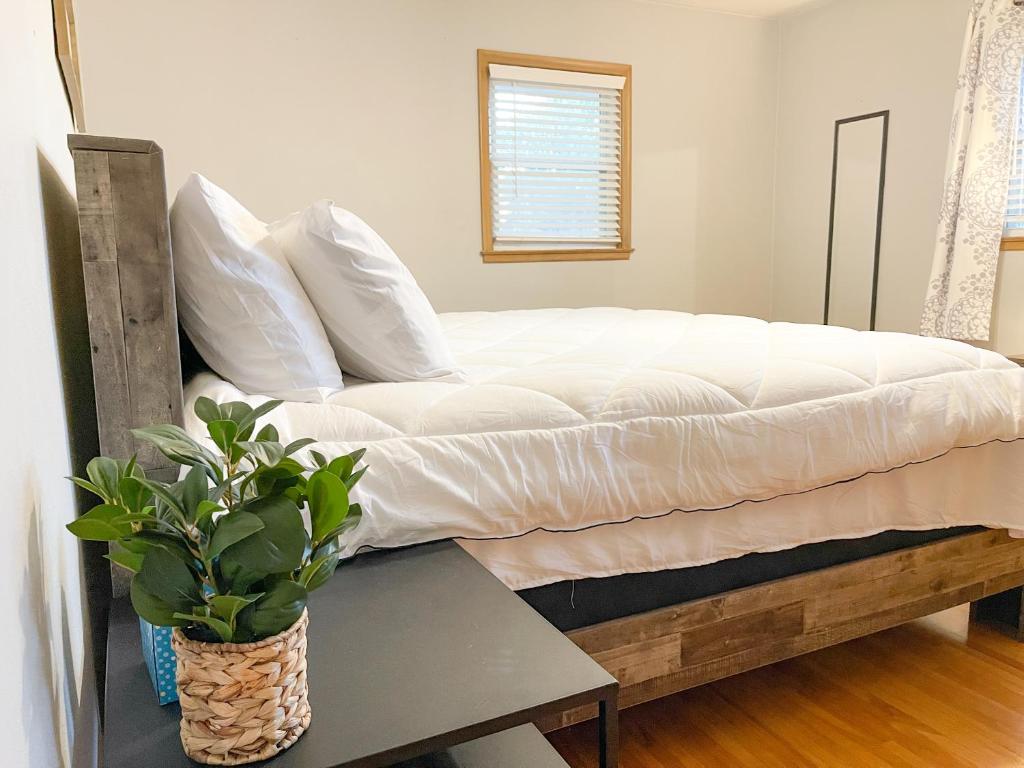 Cozy 3BR w/ King BR - Near Sanf. Hosp - USF/Augie - Housity