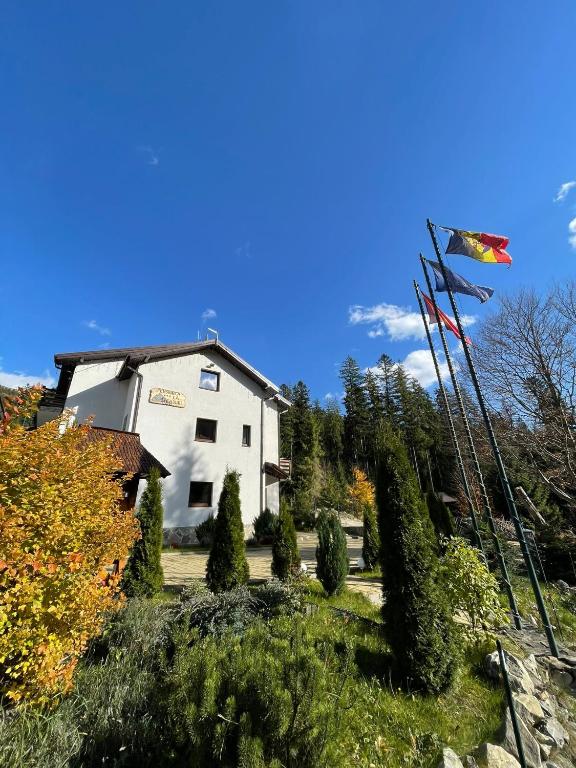 a house with a flag flying in a yard at Pensiunea La Steaguri in Pojorâta