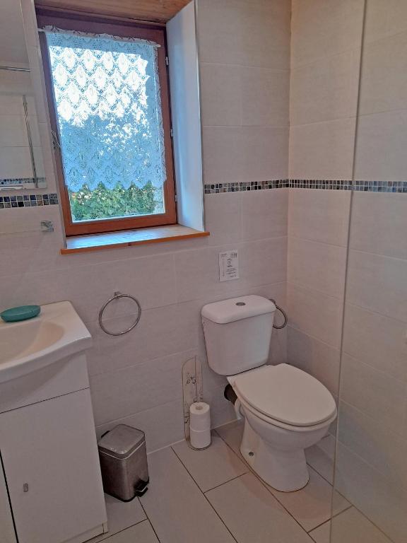 a bathroom with a toilet and a sink and a window at Les Maricotais Gîte La Crécerelle in Trévérien