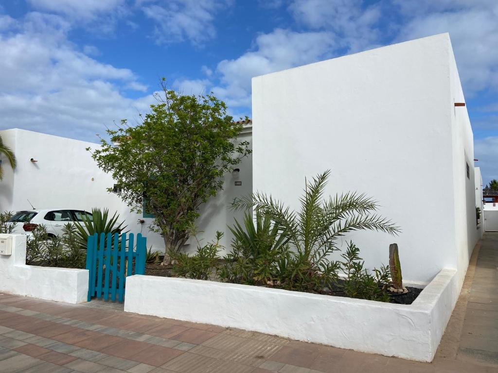 a white building with a blue fence and trees at Villa Leon in Caleta De Fuste
