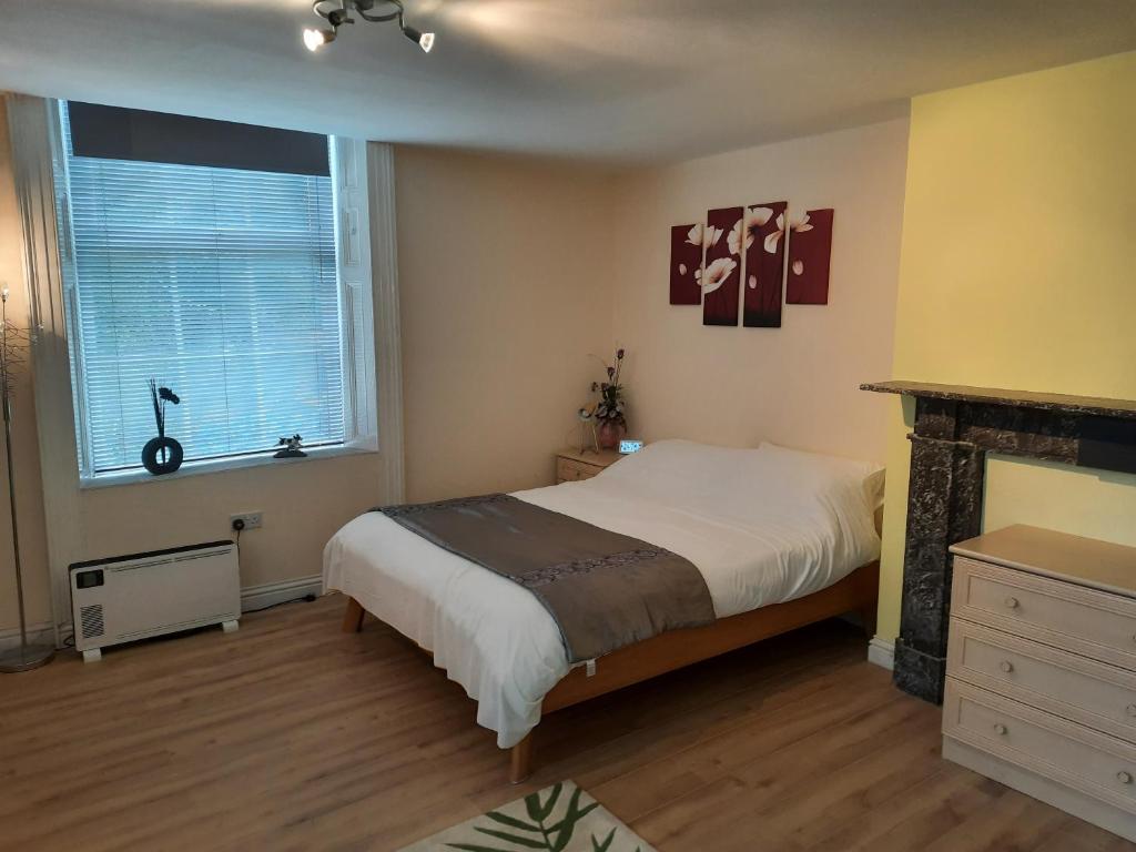 a bedroom with a bed and a fireplace and a window at Self Contained studio flat in Winterton Hall in Great Yarmouth
