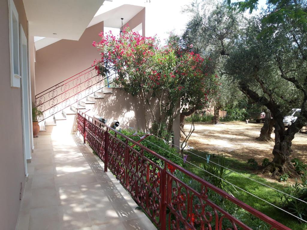 Zahrada ubytování Oasis