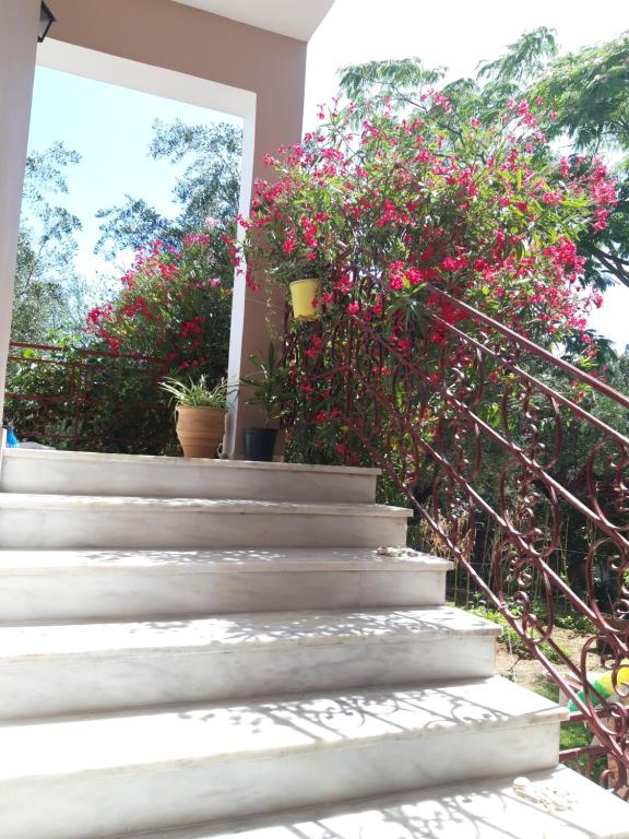 Zahrada ubytování Oasis