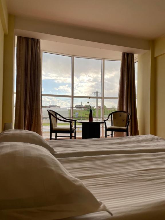 塞貝什的住宿－Hotel FAN Sebes，一间卧室设有一张床和一个大窗户