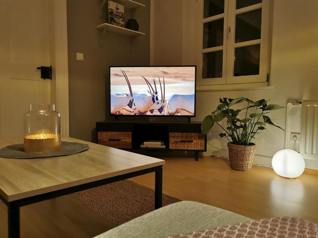 Fynbos Apartments in der Altstadt, Frauenkirche, historisch, Parkplatz - 18