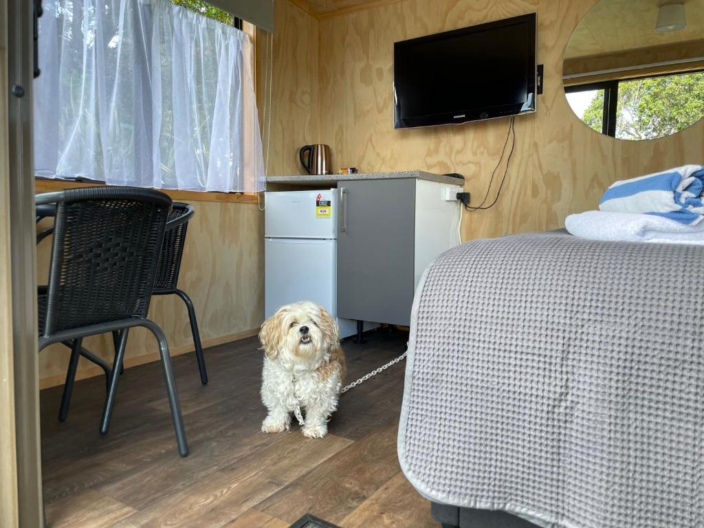 Athenree Hot Springs & Holiday Park - Resim 21