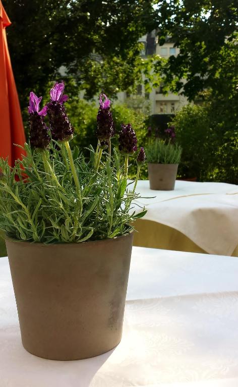 Hotel Mingarden - Resim 37