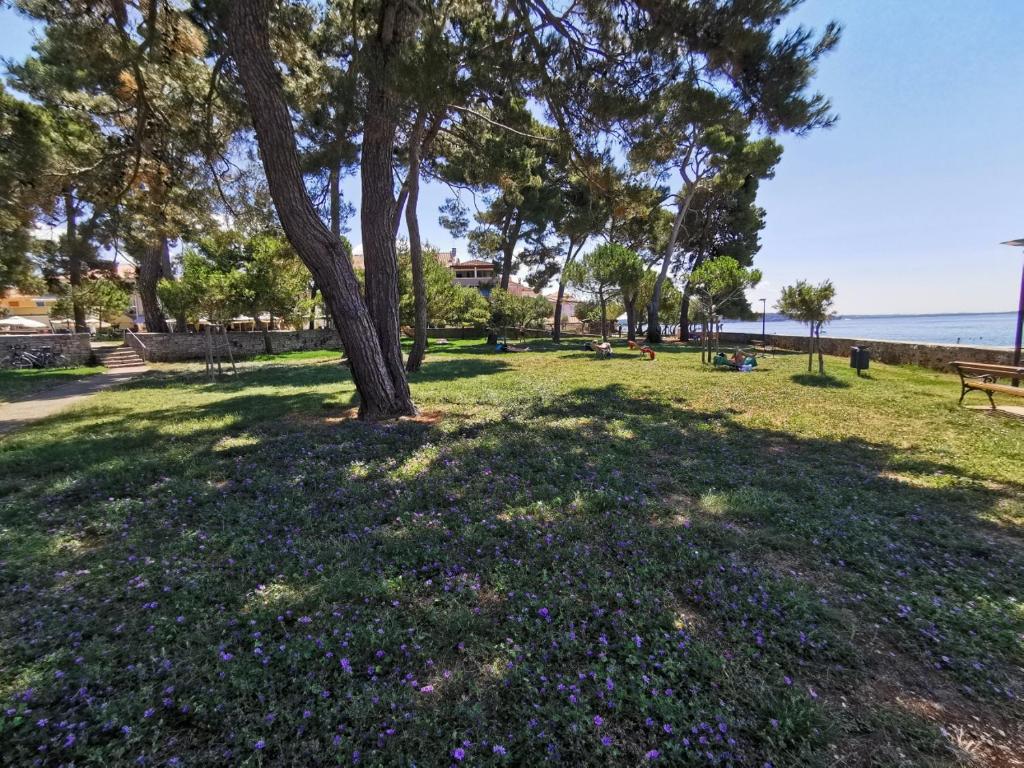 Zdjęcie z galerii obiektu IVAN B&B, 5 star SUPERIOR room, near the see and park w mieście Novigrad