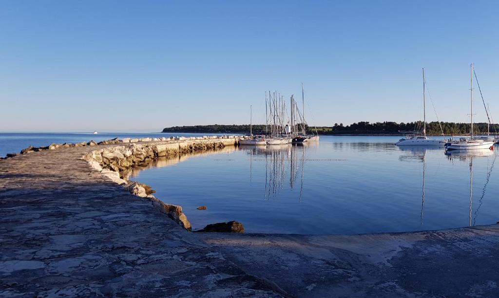 Zdjęcie z galerii obiektu IVAN B&B, 5 star SUPERIOR room, near the see and park w mieście Novigrad