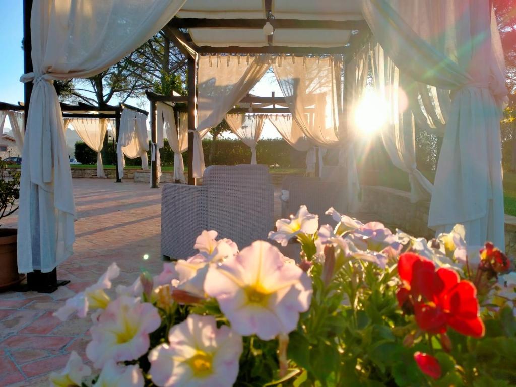 A garden outside Il Pianaccio