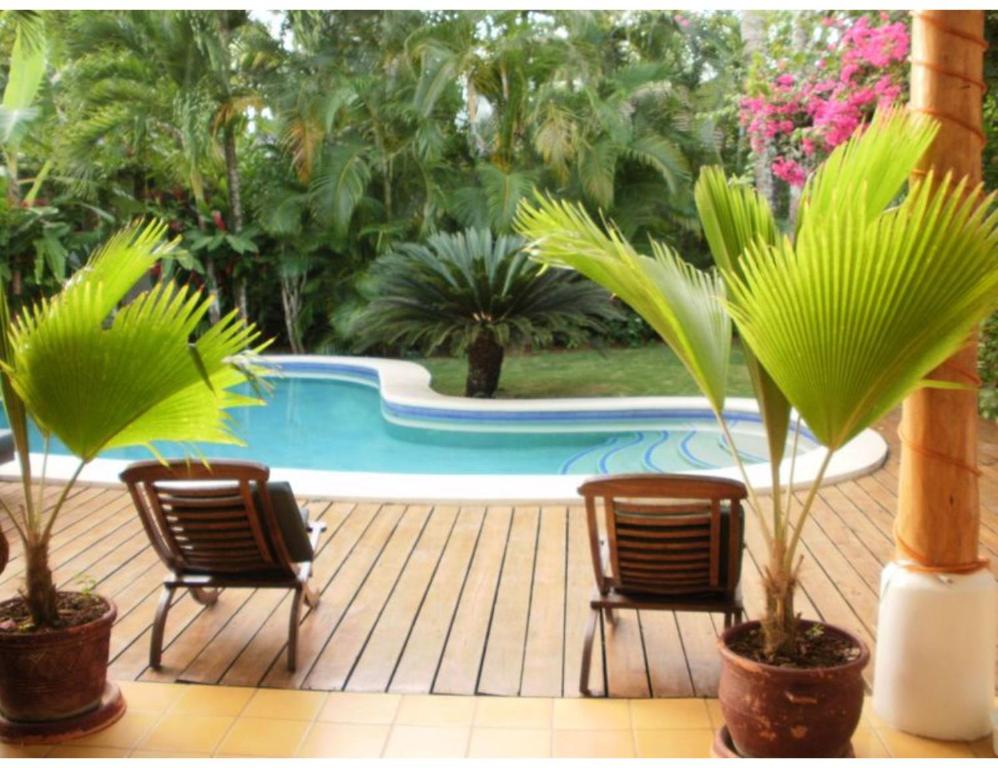 Bazén v ubytování Charming Caribbean style villa near superb beach nebo v jeho okolí