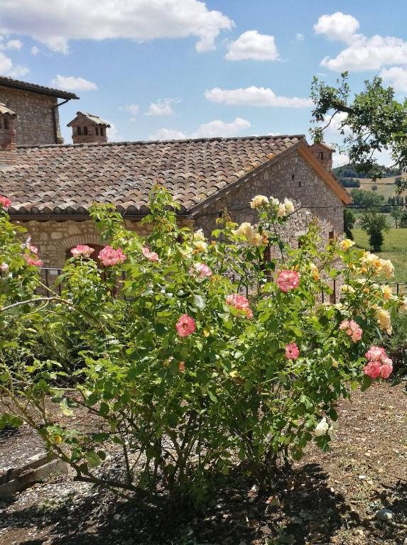 Fotografia z galérie ubytovania Comfortable apartment in Umbria v destinácii Monte Molino