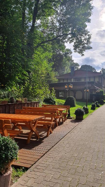 Zahrada ubytování Hotel Harzlodge