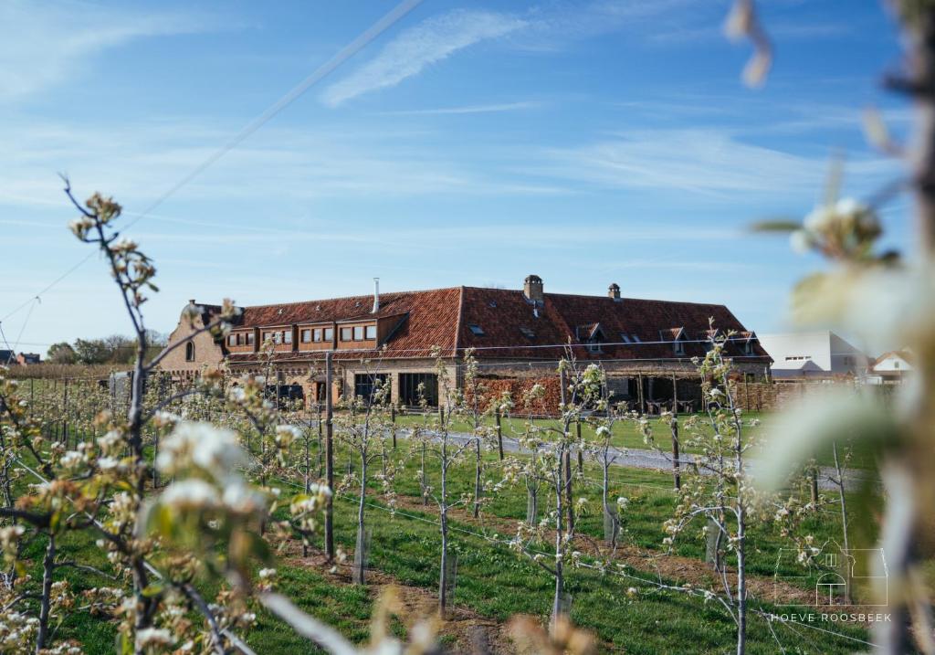 an old building in a field with a vineyard at Hoeve Roosbeek in Zepperen