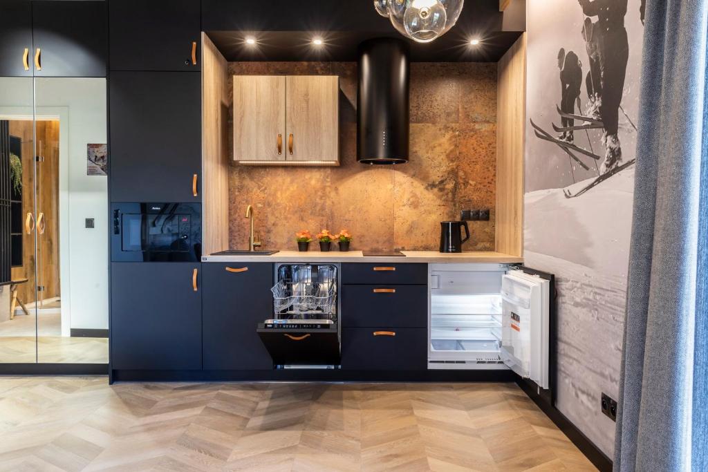 Kuchyňa alebo kuchynka v ubytovaní udanypobyt Apartament Modrzejewska 16