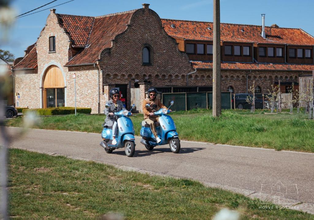 Hosté ubytování Hoeve Roosbeek