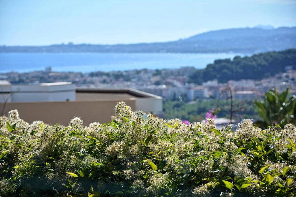 a view of a city and a body of water at Le Syrius in Nice