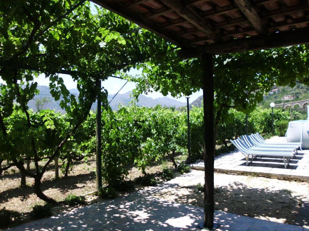 Zahrada ubytování Il Vigneto "Cottage"