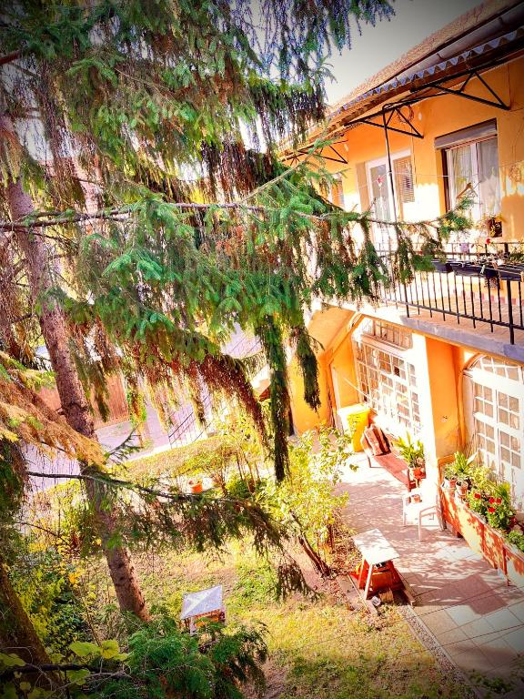 Green Apartman - Appartement D'une Chambre
