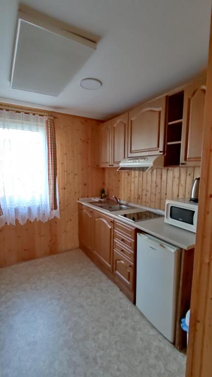 Kuchyň nebo kuchyňský kout v ubytování Penzion apartmány Aninka