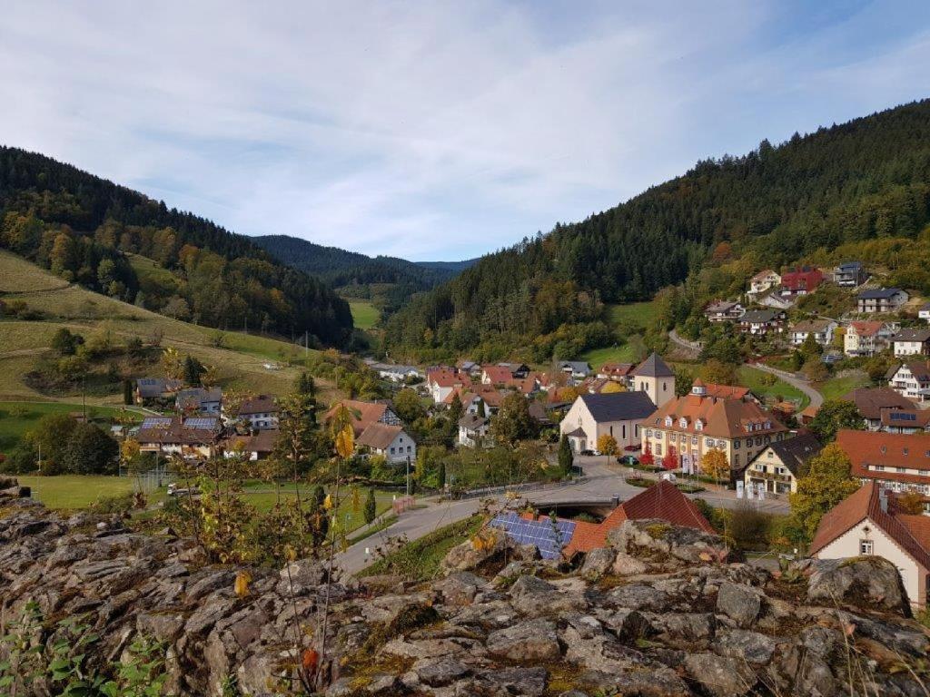 Příroda nedaleko hotelu