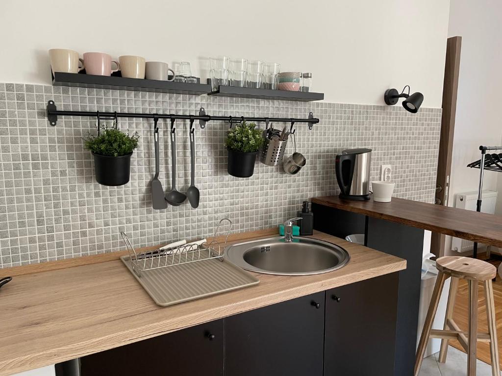 Kjøkken eller kjøkkenkrok på Apartman Sunny
