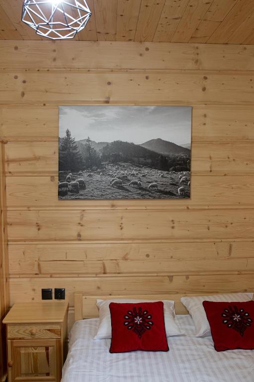 Tęczowe Wzgórze - 8