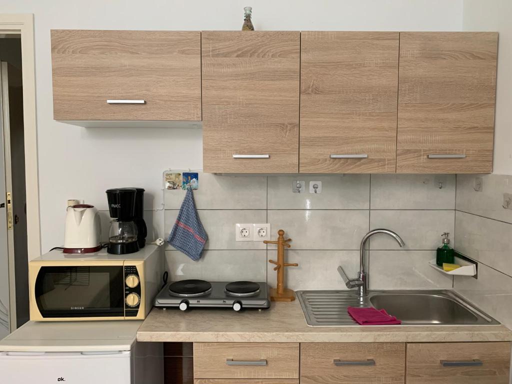 Η κουζίνα ή μικρή κουζίνα στο Holodek Apartments Ground & SemiBasement