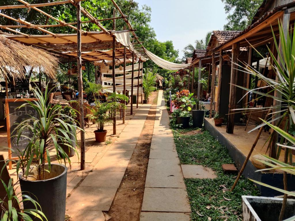 a greenhouse with potted plants inside of it at Wonderland Hostel in Anjuna