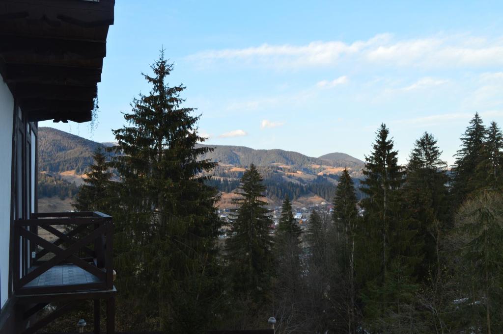 desde el balcón de una casa con vistas a las montañas en Біла хата, en Iltsi