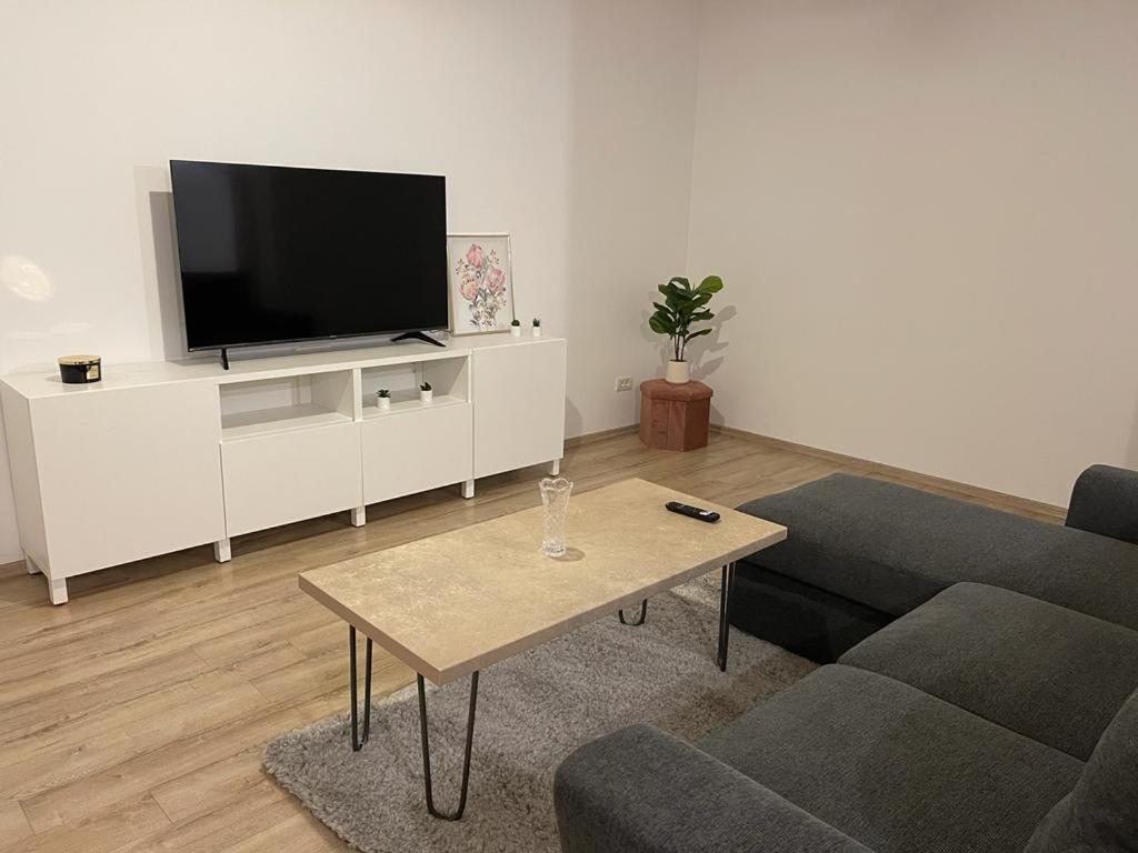 a living room with a couch and a tv at AMA Residence in Timişoara