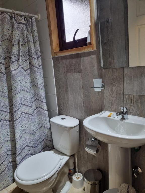 Koupelna v ubytování Apart Hotel Antu de Villarrica