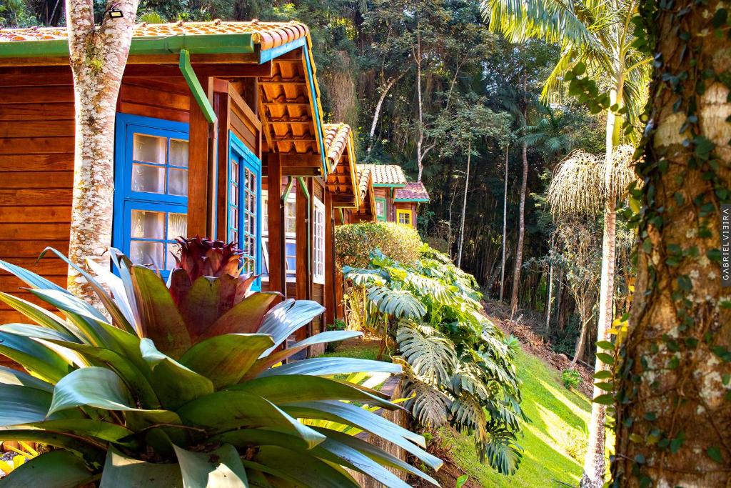 a wooden house with a blue window and some plants at Chalés Paradiso in Nova Friburgo