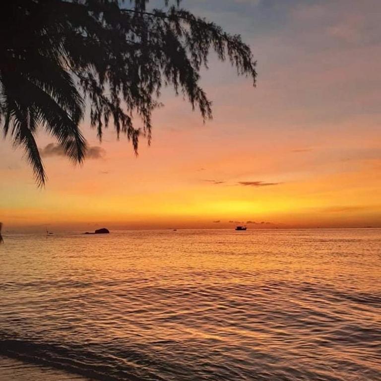 Kiki Coconut Beach Resort - 17